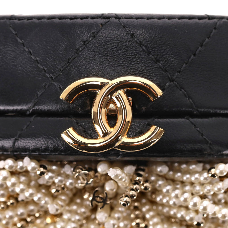 Chanel Lion Head Pearl & Leather Evening Bag