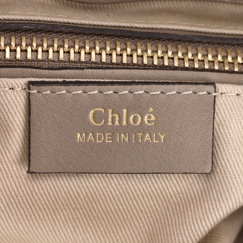 Chloe Suede & Calfskin Small Faye Backpack