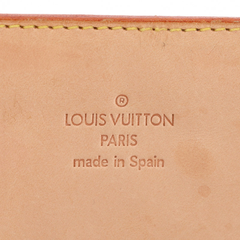 Louis Vuitton Nomade Leather Pochette Bag